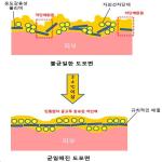 대표도면