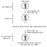 대표도면