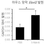 대표도면