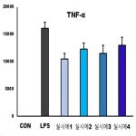 대표도면