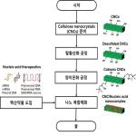 대표도면