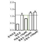 대표도면