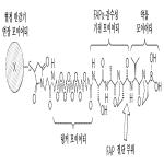 대표도면