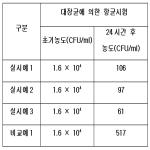 대표도면